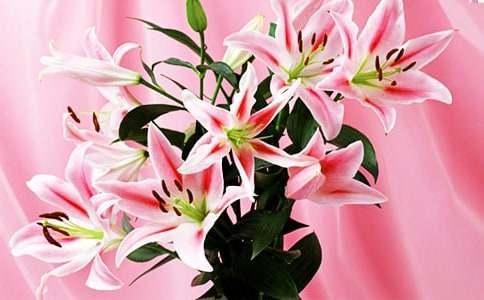 ���ٺϻ����̰����ȣ�