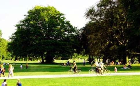 �����Ĺ�԰�̰�