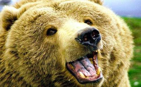 С������Դ���С�Ĺ��̰ܽ�