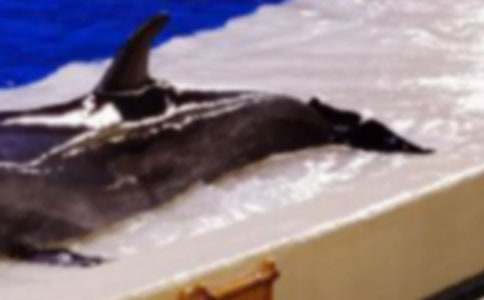 ��������ˡ��̰�3ƪ