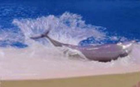 С����̰�����