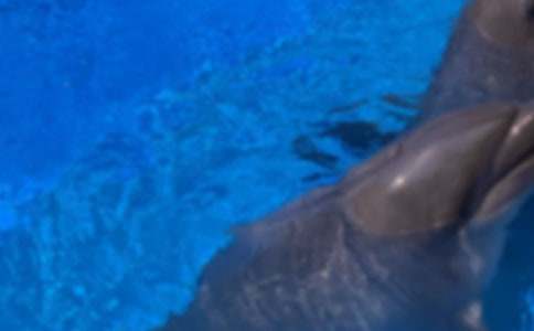 ��������ˡ��Ľ̰�