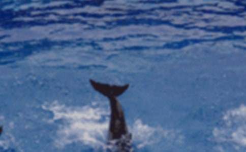 �йء�������ˡ��̰�4ƪ