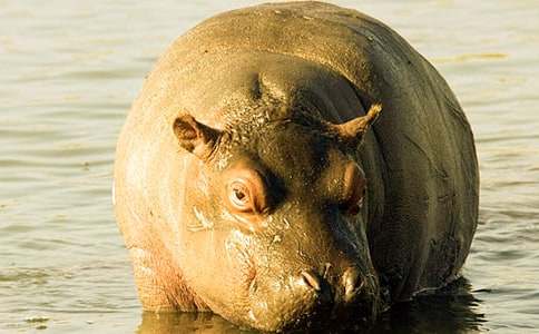 С���ۺϽ̰�:С������ˢ������