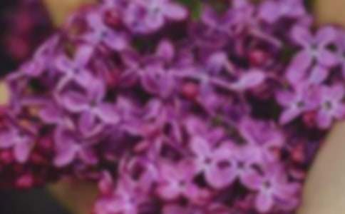 ���������Ļ��䡷�̰�