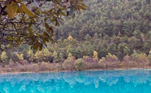 ���߽��������̰�