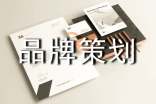 品牌策划书范文