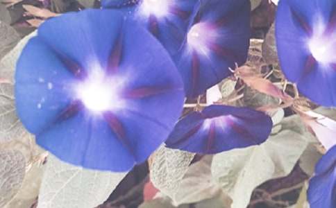 ��������ǣţ�����̰�6ƪ