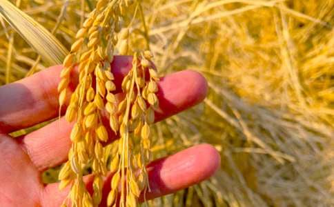 �������յĹ���֪ͨ