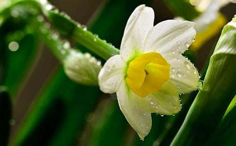 ���̰���꼶�ϲ�15�Ρ�ˮ���ӡ��̰�