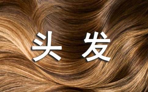 ���̰����������ͷ����