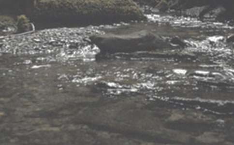 ��СϪ��ˮ�춣�ˡ�˵�θ�