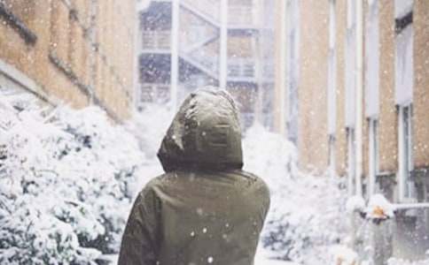 ��ѩ·����ȫ�̰����ģ���ѡ5ƪ��