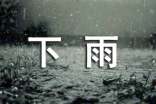 大班教案《下雨了》反思