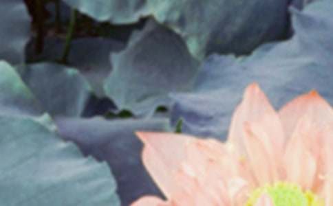 ���������а�̰���ͨ��14ƪ��