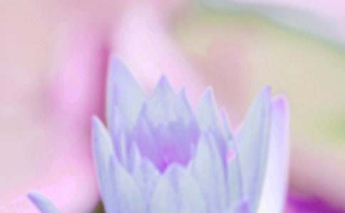 ��ࡶ����������̰���ͨ��18ƪ��