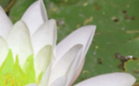 �����������̰�����ѡ11ƪ��