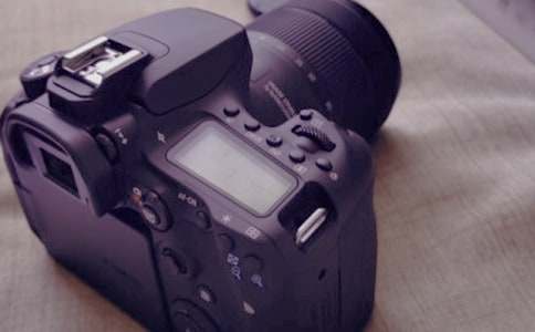 С��������̰�