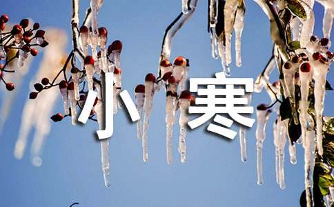 ����С������������̰�