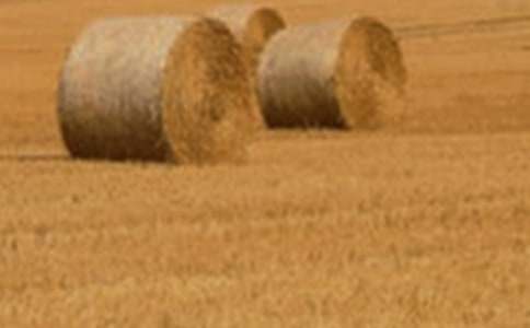 С���ѧ�̰���С���һ��