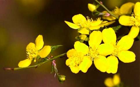 �а�̰���������ӭ��������ͨ��6ƪ��