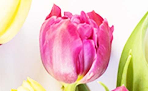 ������̰�