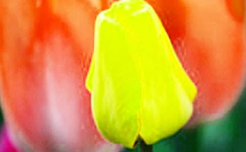 ���ڡ������������㡷�̰�