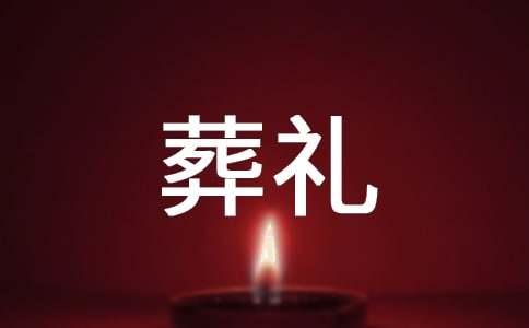 《特殊的葬礼》教案(精选15篇)