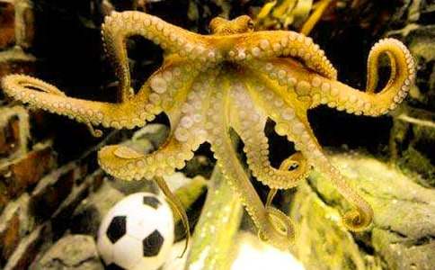 �����㡷 �̰�