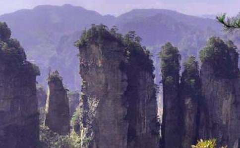 《迷人的张家界》教案