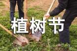 学生植树节演讲稿