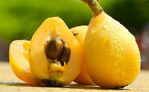 ������˽̰�