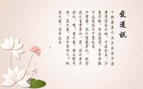 ������˵����ѧ��ƻ��15ƪ