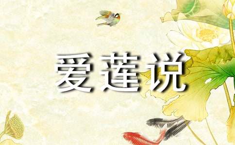 ����˵˵�θ弯��15ƪ