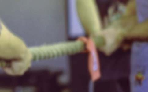 五一拔河比赛活动策划书