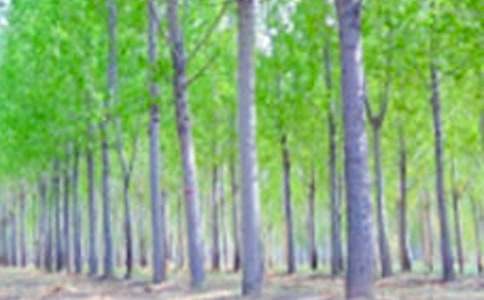 �����ѧ��˼(15ƪ)