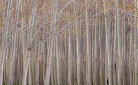 �������ѧ��˼