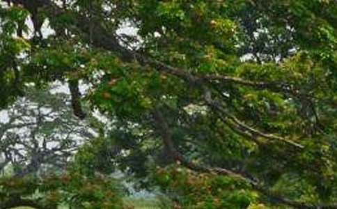 ���꼶�²ᡶ�����ѧ��˼