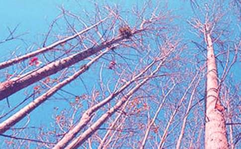 ����Ľ�ѧ��˼