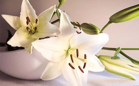 2021���ٺϻ�����ѧ���