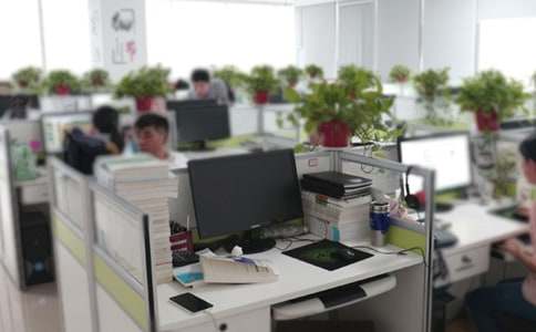 �칫����Աʵϰ�����ܽ�(���8ƪ)