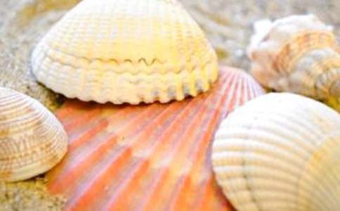 ����˵�θ�