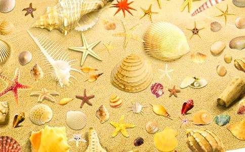 �����ǵĽ̰�