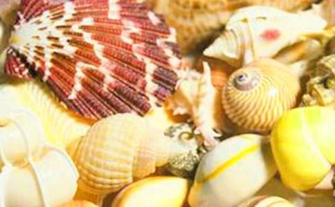 ���ġ����������ǡ�˵�θ�һ�Ƚ�