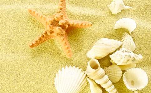 �����ǡ���ѧ���