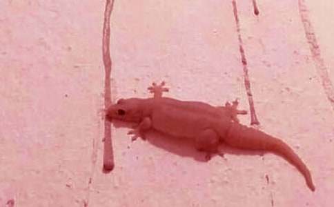 ��С�ڻ���β�͡���ѧ��˼����ѡ24ƪ��