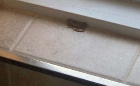 ��С�ڻ���β�͡���ѧ��ƻ��15ƪ