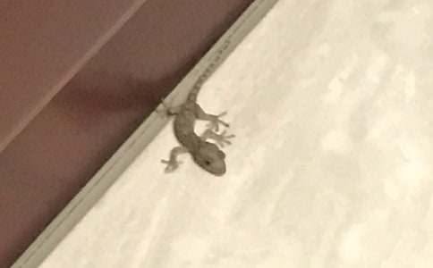 С�ڻ���β�ͽ̰�