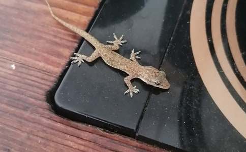 �йء�С�ڻ���β�͡���ѧ��ƣ���ѡ6ƪ��