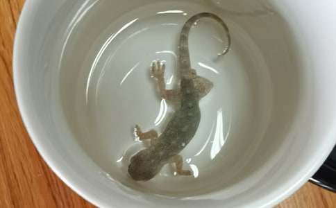 ��С�ڻ���β�͡��̰�(15ƪ)